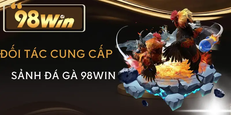 da-ga-98win-nha-cung-cap
