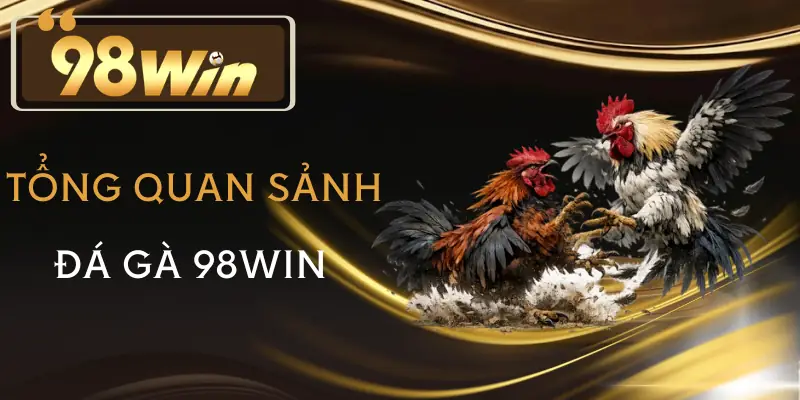 da-ga-98win-tong-quan